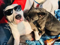 -深圳湾创业广场