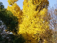 -狼山风景名胜区