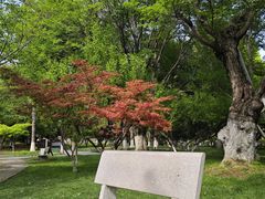 -堤角公园