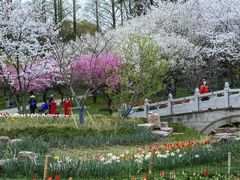 -苏州上方山国家森林公园