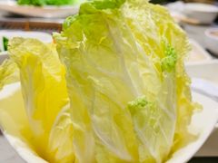 -海底捞火锅(青悦城店)