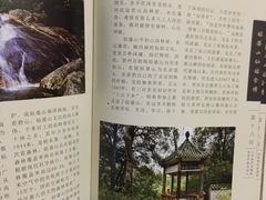 -姑婆山森林酒店