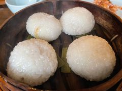 茨毛圆子-双塔老饭店