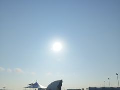 -碧海金沙