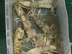 -QQ海鲜餐厅