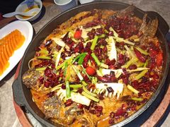 -老板恋上鱼(恒隆广场店)