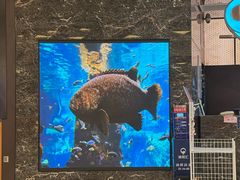 -渔舶汇蒸汽活海鲜·榴莲自助(领展中心城店)
