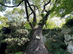 -惠山古镇·寄畅园