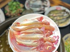 -石锅苗苗鱼(武汉首店)