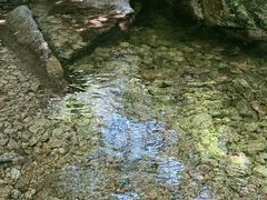 -王顺山国家森林公园