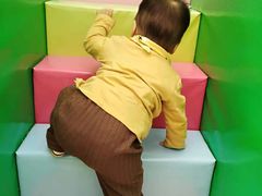 游乐设施-南宫五洲植物乐园