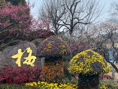 -无锡梅园公园