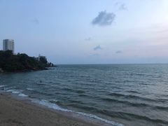 -卷心菜和避孕套餐厅(Pattaya)
