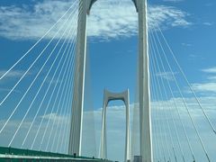 -鸢飞潍坊菜馆(鸢飞大酒店)