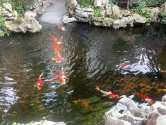 -鲤院·新中式美学·庭院餐厅(夫子庙店)