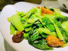 油渣上海青-韵秋荷(宝山龙湖天街店)