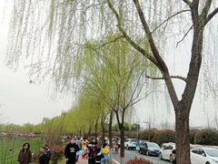 -洨河生态公园