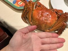-成隆行·蟹王府(九江路店)