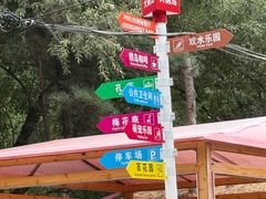 -大鹅岛绿色生态美食园