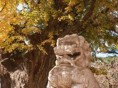 -北京石刻艺术博物馆(五塔寺)