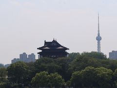 -梅园