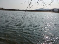 -嵖岈山风景区