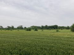 -西青郊野公园