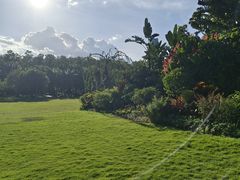 -莲花山公园