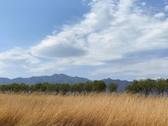 -野鸭湖国家湿地公园