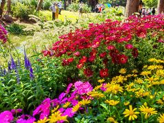 -人民公园(罗湖区)