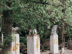 -八大处公园