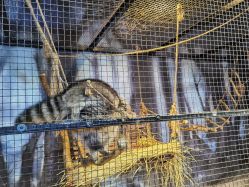 -酷嗒动物文化乐园(cutezoo西溪乐天城店)