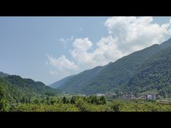 -武陵山森林公园