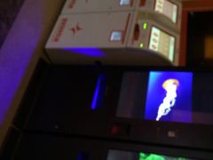 iphone_upload_pic-星美国际影商城(虹口店)