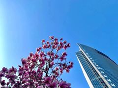 -西门子中国有限公司(阜通东大街店)