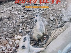 -天津市动物园