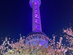 -陆家嘴空中步行连廊