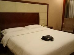 -维也纳国际酒店·佛山南海千灯湖桂城地铁站店