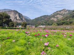 -雁荡山风景名胜区