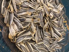 -看丹桥老头烧烤(西国贸店)