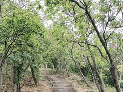 -梧桐山风景名胜区