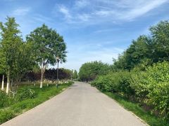 -永定河休闲森林公园