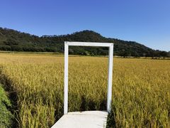 -艾米稻香小镇