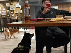 大堂-百好乐宠物友好餐厅(朝外大街店)