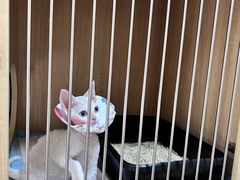 -谐和贝康宠物医院24小时·宠保定点(急重症转诊中心)