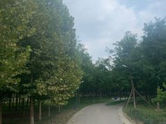 -东郊湿地公园