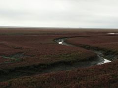 -红海滩国家风景廊道