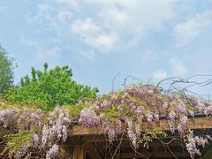 -白塘生态植物园