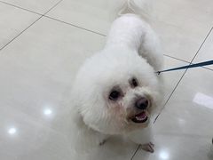 -天宠宠物医院24小时·急重症诊疗中心·全科·腔镜特色(和平分院)