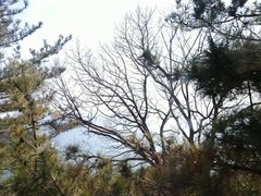 -青岛崂山太清宫